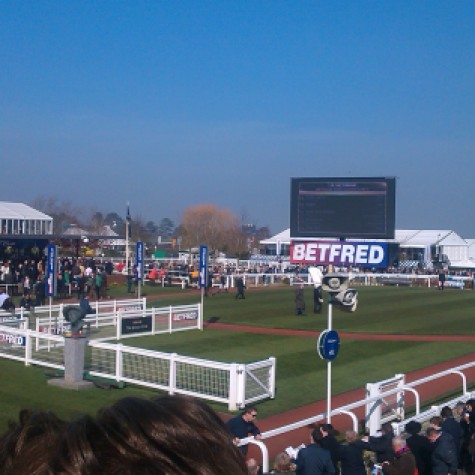 Parade ring before 1st race
